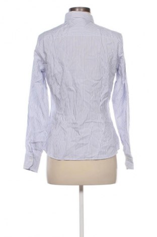 Damenbluse Eterna, Größe M, Farbe Mehrfarbig, Preis € 15,99