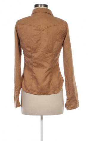 Damenbluse H&M, Größe M, Farbe Braun, Preis 12,68 €