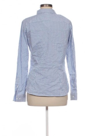 Damenbluse H&M, Größe L, Farbe Mehrfarbig, Preis 17,99 €