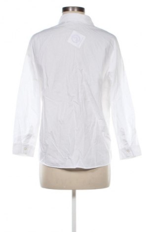 Damenbluse Melting Stockholm, Größe M, Farbe Weiß, Preis 20,97 €