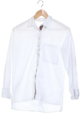 Damenbluse Sinsay, Größe XS, Farbe Mehrfarbig, Preis 11,99 €