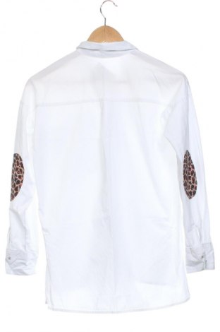 Damenbluse Sinsay, Größe XS, Farbe Mehrfarbig, Preis 11,99 €