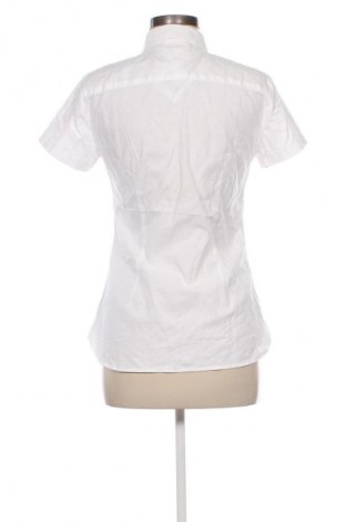 Damenbluse Tommy Hilfiger, Größe M, Farbe Weiß, Preis 37,99 €