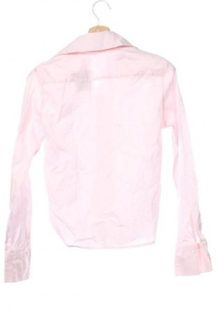 Damenbluse Van Laack, Größe XS, Farbe Rosa, Preis 22,99 €
