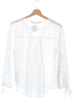 Cămașă de femei Zara, Mărime XS, Culoare Multicolor, Preț 91,99 Lei