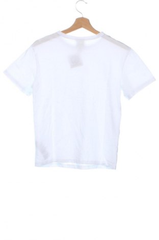 Damen T-Shirt Calvin Klein, Größe XS, Farbe Weiß, Preis € 21,99