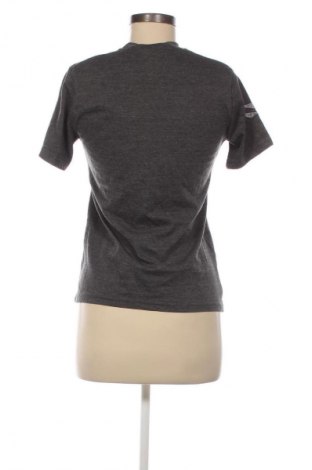 Γυναικείο t-shirt Harry Potter, Μέγεθος S, Χρώμα Γκρί, Τιμή 4,99 €