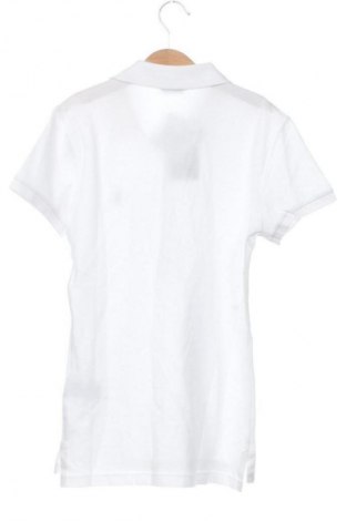 Damen T-Shirt Polo By Ralph Lauren, Größe XS, Farbe Weiß, Preis 122,99 €
