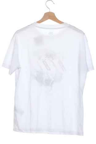 Damen T-Shirt Seven Sisters, Größe XS, Farbe Mehrfarbig, Preis € 9,00