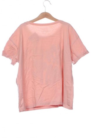 Damen T-Shirt Sinsay, Größe XS, Farbe Aschrosa, Preis € 5,99