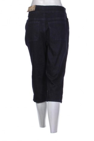 Blugi de femei DC Jeans, Mărime L, Culoare Albastru, Preț 56,99 Lei