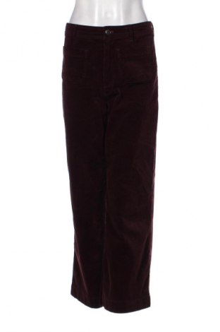 Damen Cordhose Mango, Größe M, Farbe Lila, Preis 17,80 €