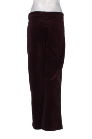 Damen Cordhose Mango, Größe M, Farbe Lila, Preis 17,80 €