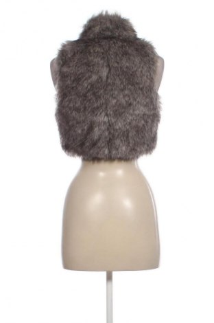 Damska kamizelka Collection, Rozmiar S, Kolor Szary, Cena 127,99 zł