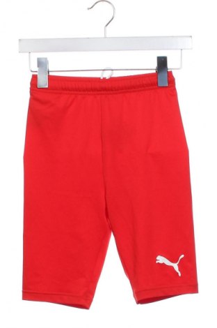 Dámské kraťasy  PUMA, Velikost XS, Barva Červená, Cena  429,00 Kč