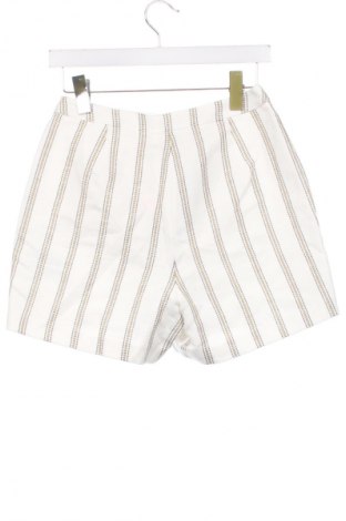 Γυναικείο κοντό παντελόνι Ted Baker, Μέγεθος XS, Χρώμα Πολύχρωμο, Τιμή 151,70 €