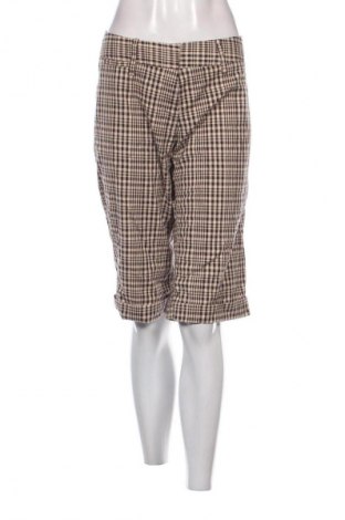 Damen Shorts The Limited, Größe XL, Farbe Mehrfarbig, Preis 9,99 €