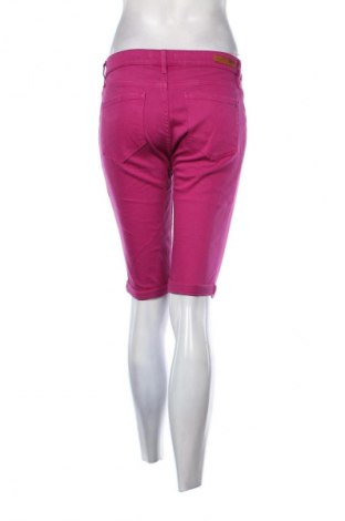 Damen Shorts Tommy Hilfiger, Größe S, Farbe Lila, Preis 85,04 €