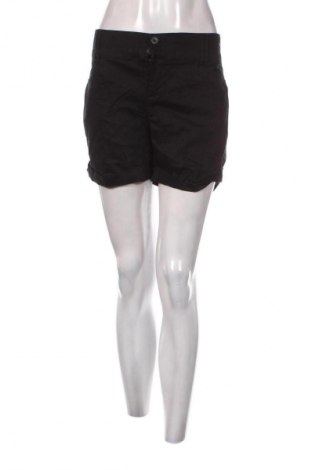 Damen Shorts Torrid, Größe XL, Farbe Schwarz, Preis 9,99 €