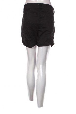 Damen Shorts Torrid, Größe XL, Farbe Schwarz, Preis 9,99 €