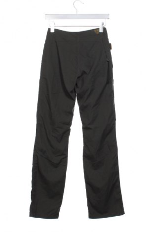 Damenhose Gotcha, Größe XS, Farbe Grün, Preis 47,24 €