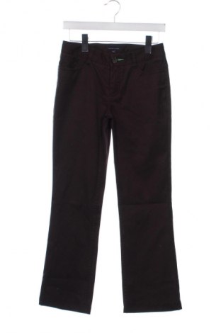 Damenhose Tommy Hilfiger, Größe S, Farbe Braun, Preis € 26,99
