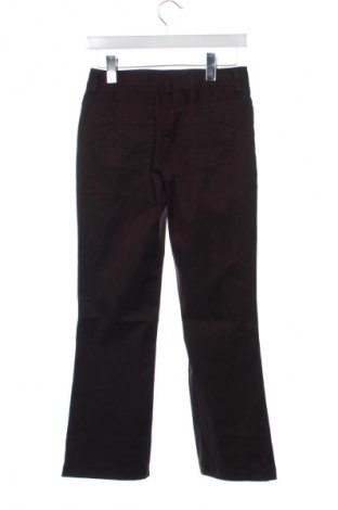 Damenhose Tommy Hilfiger, Größe S, Farbe Braun, Preis € 26,99