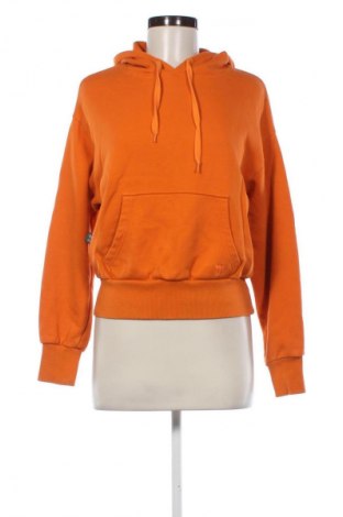 Damen Sweatshirt Wolczanka, Größe S, Farbe Orange, Preis € 14,76
