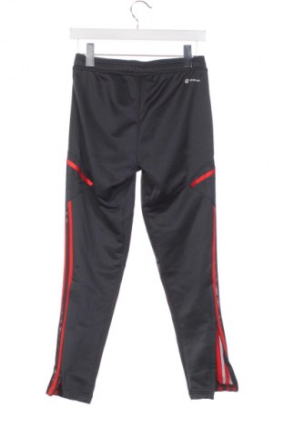 Női sport nadrág Adidas, Méret XS, Szín Sokszínű, Ár 11 099 Ft