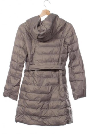 Damenjacke Lawrence Grey, Größe XS, Farbe Beige, Preis € 71,35