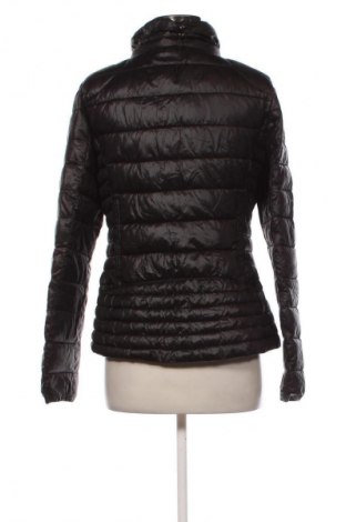 Damenjacke Monte Cervino, Größe M, Farbe Schwarz, Preis € 33,99
