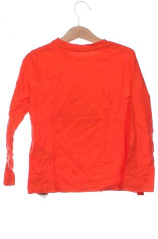 Kinder Shirt Lupilu, Größe 4-5y/ 110-116 cm, Farbe Orange, Preis € 7,99