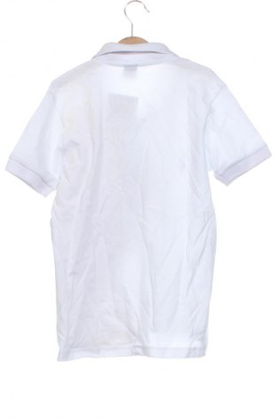 Kinder Shirt Pika, Größe 3-6m/ 62-68 cm, Farbe Mehrfarbig, Preis 8,99 €