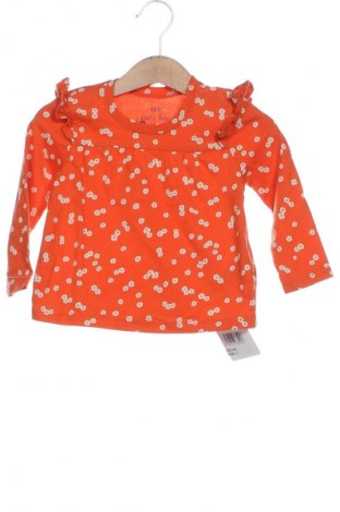 Kinder Shirt TCM, Größe 9-12m/ 74-80 cm, Farbe Mehrfarbig, Preis € 6,00