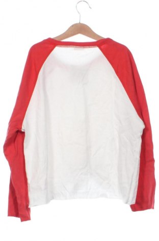 Kinder Shirt Zara, Größe 10-11y/ 146-152 cm, Farbe Mehrfarbig, Preis € 9,99