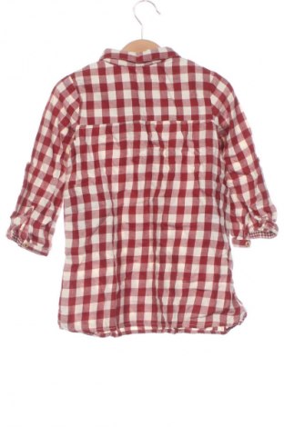 Παιδική μπλούζα Zara, Μέγεθος 3-4y/ 104-110 εκ., Χρώμα Πολύχρωμο, Τιμή 8,99 €