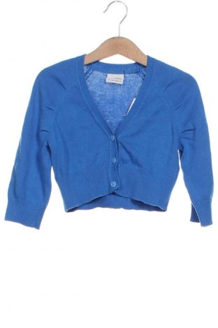 Kinder Strickjacke Next, Größe 5-6y/ 116-122 cm, Farbe Blau, Preis € 13,13
