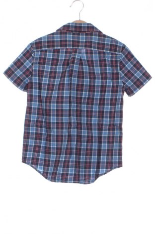 Detská košeľa  Ralph Lauren, Veľkosť 6-7y/ 122-128 cm, Farba Viacfarebná, Cena  25,17 €