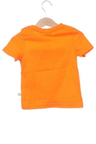Dětské tričko  Liegelind, Velikost 9-12m/ 74-80 cm, Barva Vícebarevné, Cena  152,00 Kč