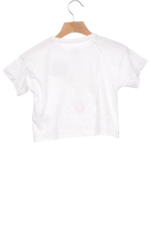 Παιδικό μπλουζάκι Looney Tunes, Μέγεθος 2-3y/ 98-104 εκ., Χρώμα Πολύχρωμο, Τιμή 6,21 €