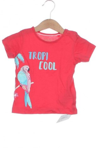 Kinder T-Shirt Lupilu, Größe 9-12m/ 74-80 cm, Farbe Orange, Preis € 6,00