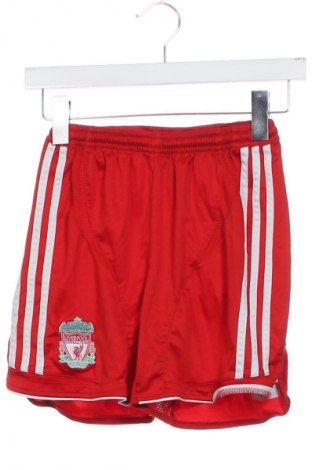 Kinder Shorts Adidas, Größe 10-11y/ 146-152 cm, Farbe Rot, Preis 10,99 €