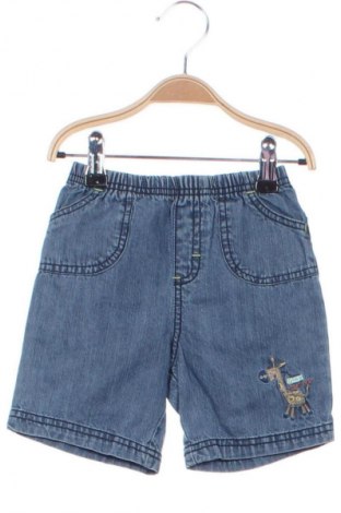 Kinder Shorts Baby Club, Größe 9-12m/ 74-80 cm, Farbe Blau, Preis € 7,58