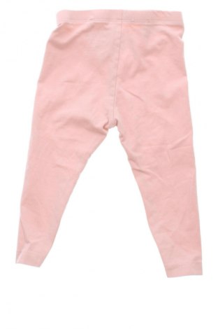 Dziecięce legginsy Lupilu, Rozmiar 9-12m/ 74-80 cm, Kolor Beżowy, Cena 33,05 zł