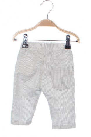 Dziecięce spodnie Concept, Rozmiar 2-3m/ 56-62 cm, Kolor Kolorowy, Cena 58,91 zł
