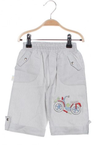 Kinderhose Unbranded, Größe 2-3y/ 98-104 cm, Farbe Mehrfarbig, Preis 10,74 €