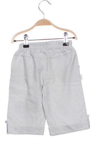 Kinderhose Unbranded, Größe 2-3y/ 98-104 cm, Farbe Mehrfarbig, Preis 10,74 €