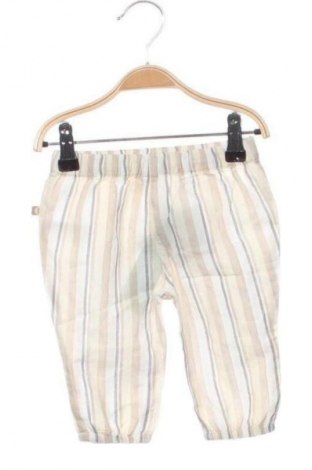 Detské nohavice  Zeeman, Veľkosť 3-6m/ 62-68 cm, Farba Viacfarebná, Cena  12,58 €