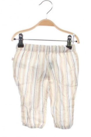 Detské nohavice  Zeeman, Veľkosť 3-6m/ 62-68 cm, Farba Viacfarebná, Cena  12,58 €