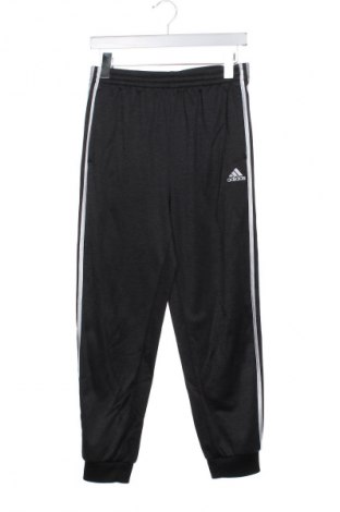 Dziecięce spodnie sportowe Adidas, Rozmiar 15-18y/ 170-176 cm, Kolor Szary, Cena 79,79 zł